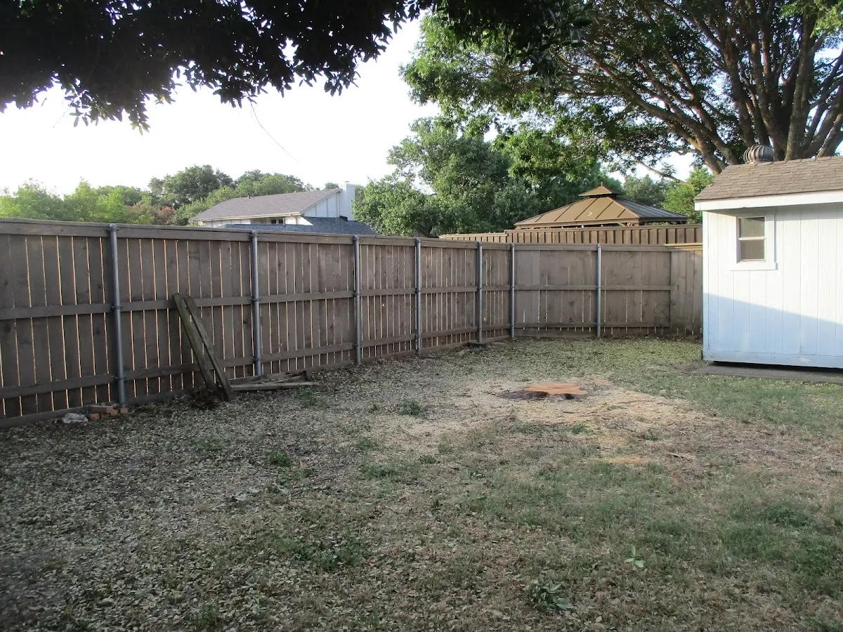 Cleared yard after professional tree removal in Staffordsville
