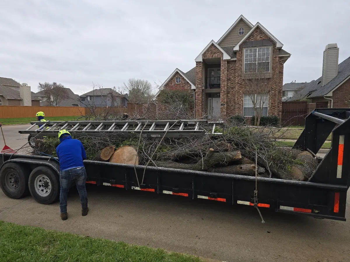 Expert Tree Fertilization with proper safety equipment in Staffordsville